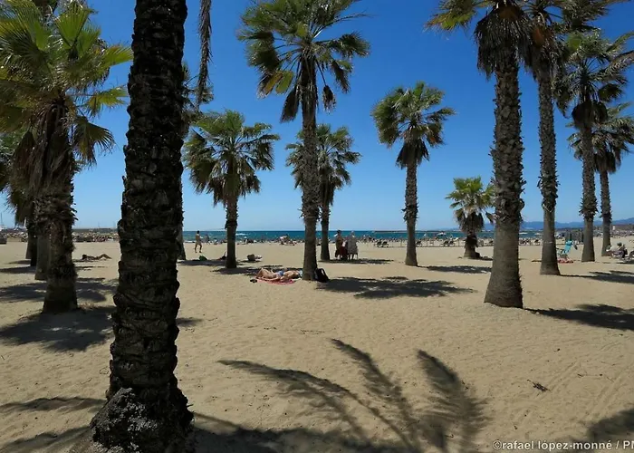 Zeus Alexis Apartamento Salou